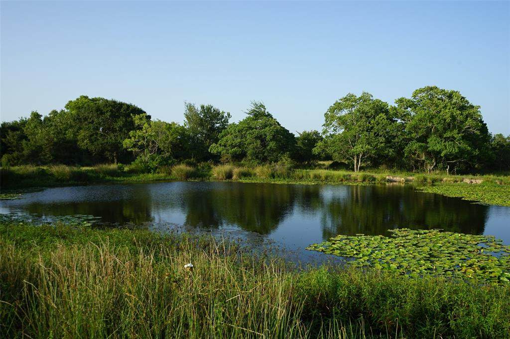 33 Fm 362 Road - Photo 1