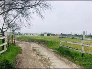 7367 County Road 605 - Photo 1