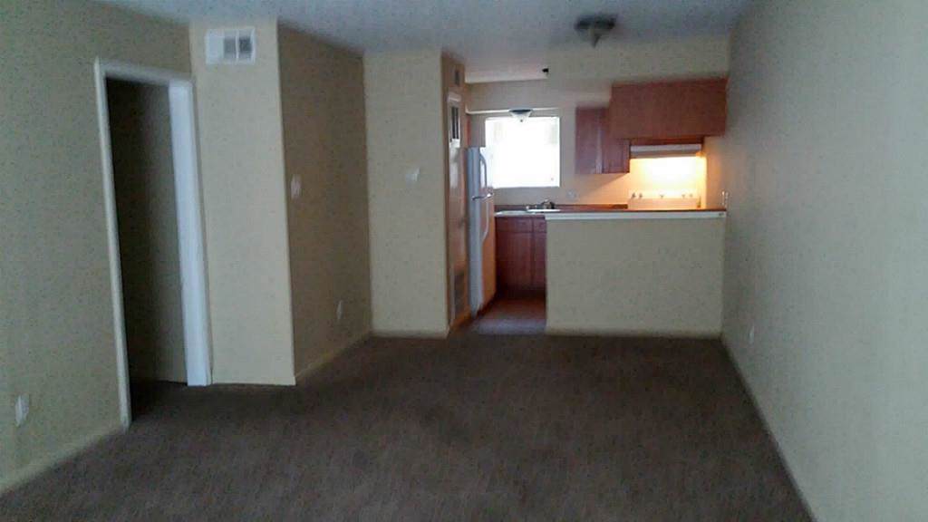 6210 Waltrip Street - Photo 1