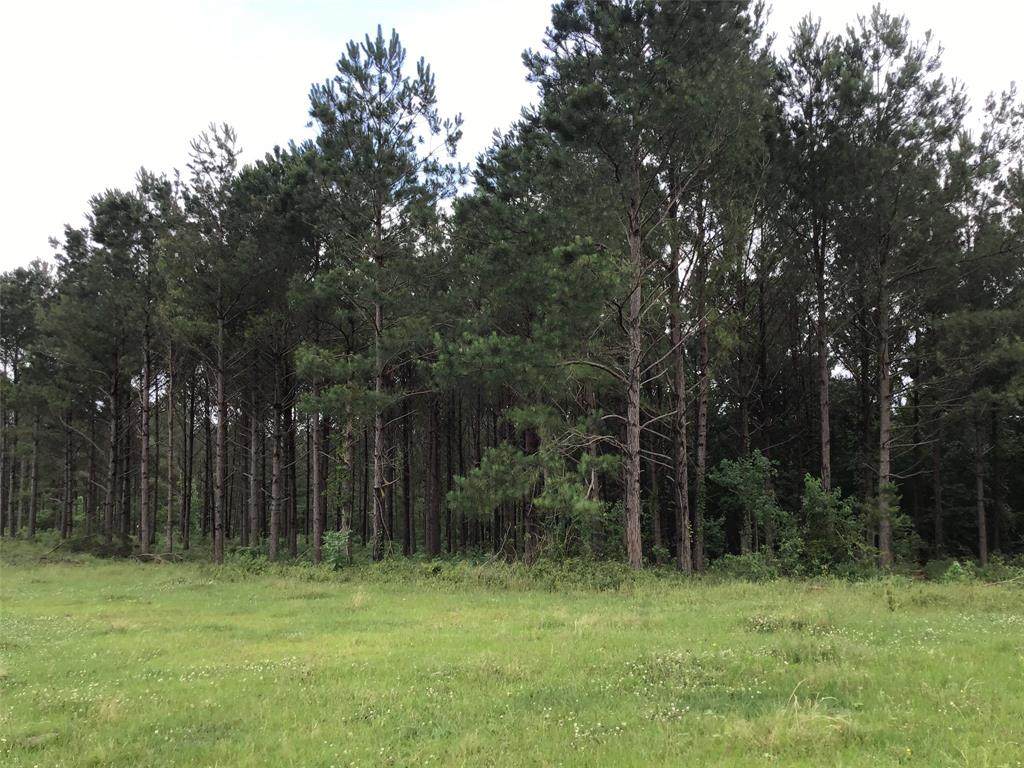 00 Fenley Flat Road - Photo 1