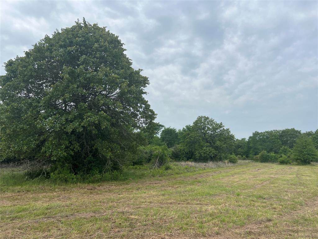 Tract # 3 County Road 124 - Photo 1