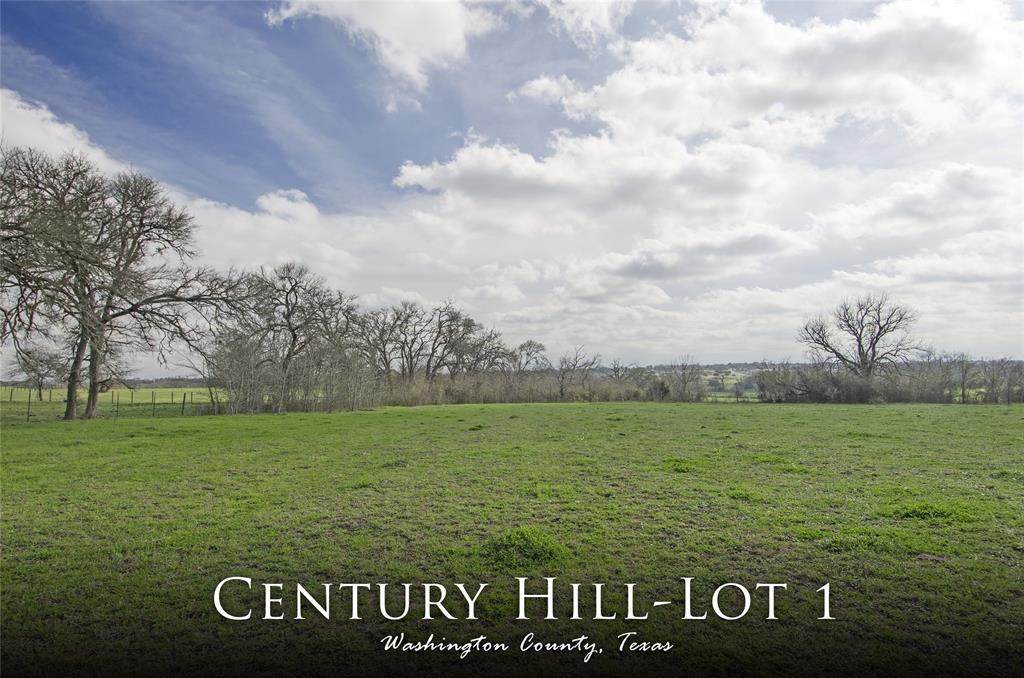Lot 1 Ike Lane - Photo 1