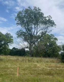 15602 Fm2620 - Photo 1