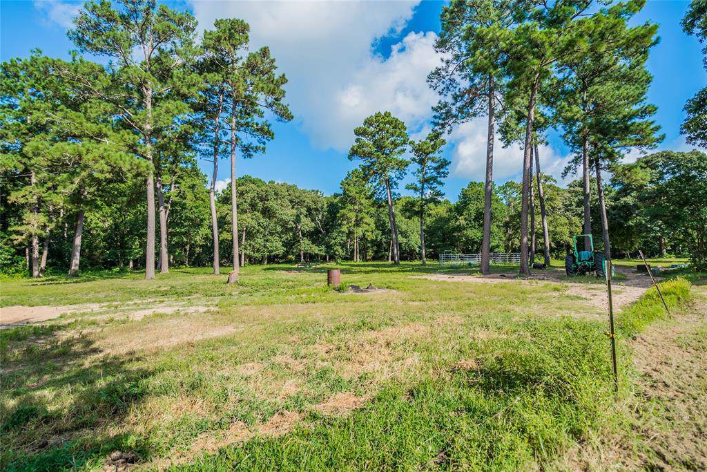 6261 County Road 448 - Photo 1