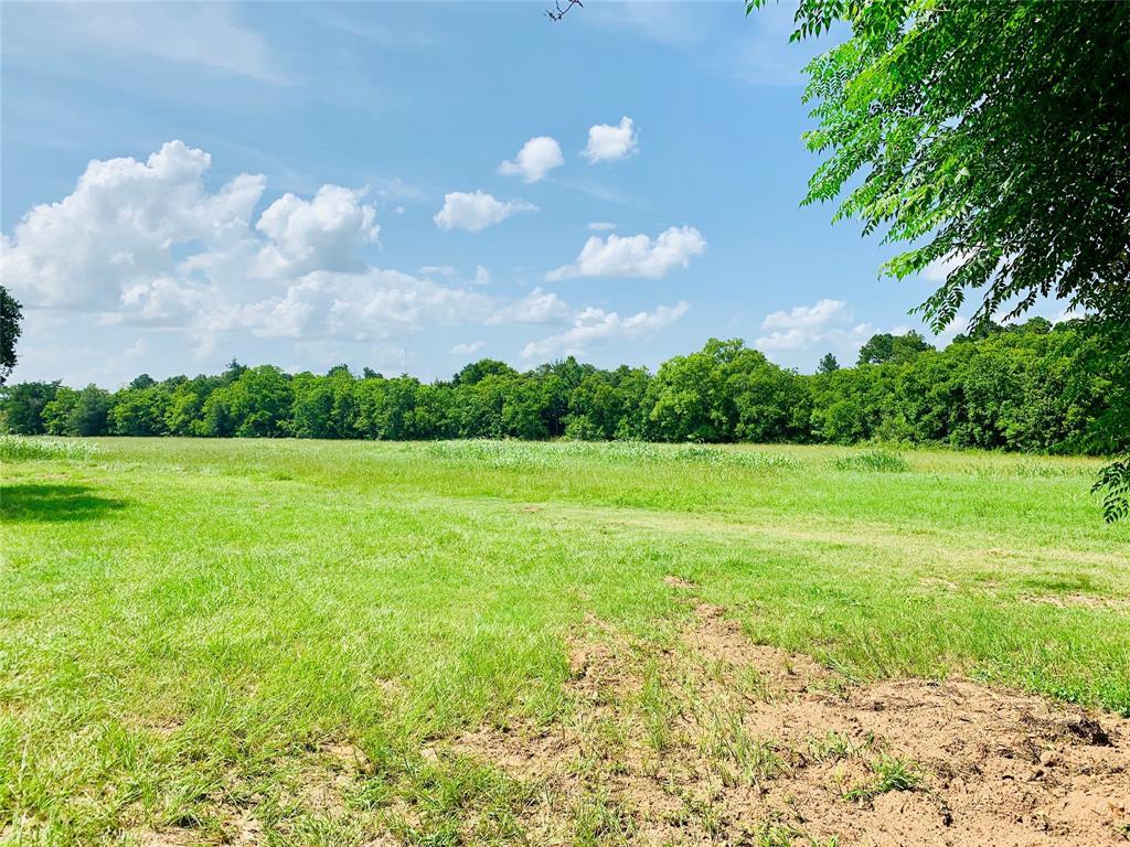 8671 Kloss Road - Photo 1