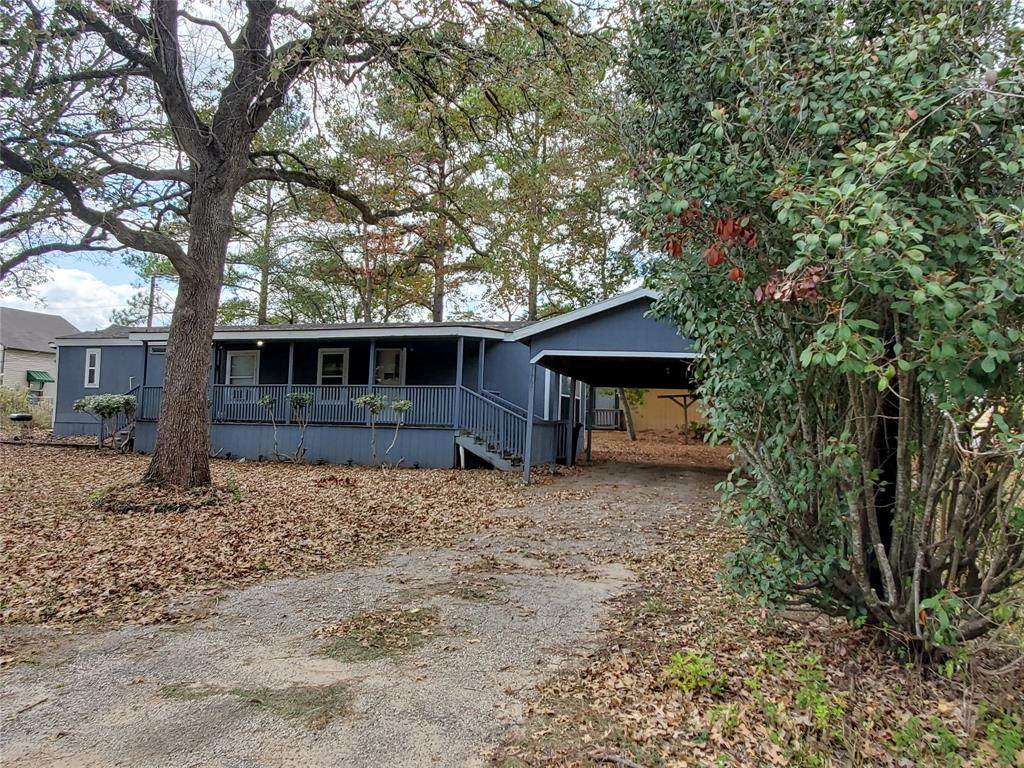 11797 White Cedar Street - Photo 1