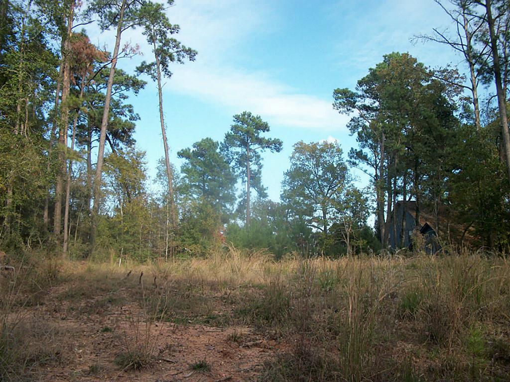 369 Sunset Drive - Photo 1