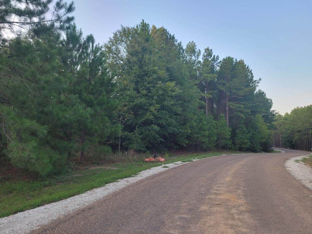 00 Westridge Park - Photo 1