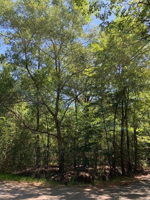 TBD Singletree Drive - Photo 1