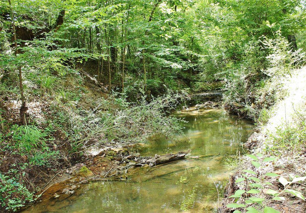 152.87 AC Private Road Off Cr 493 - Photo 1