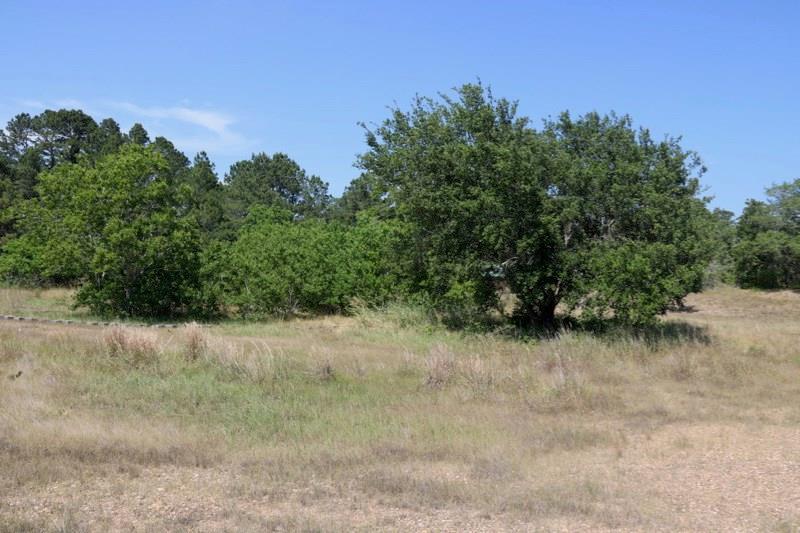 03 Vogelsang Rd - Photo 1