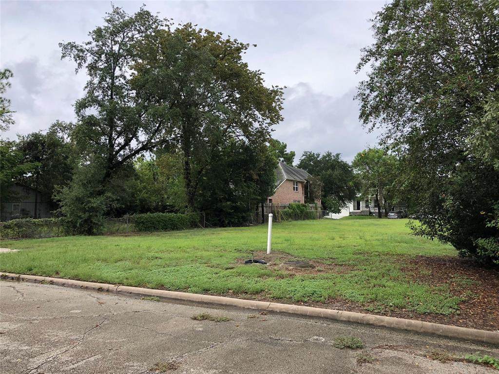4301 Effie Street - Photo 1