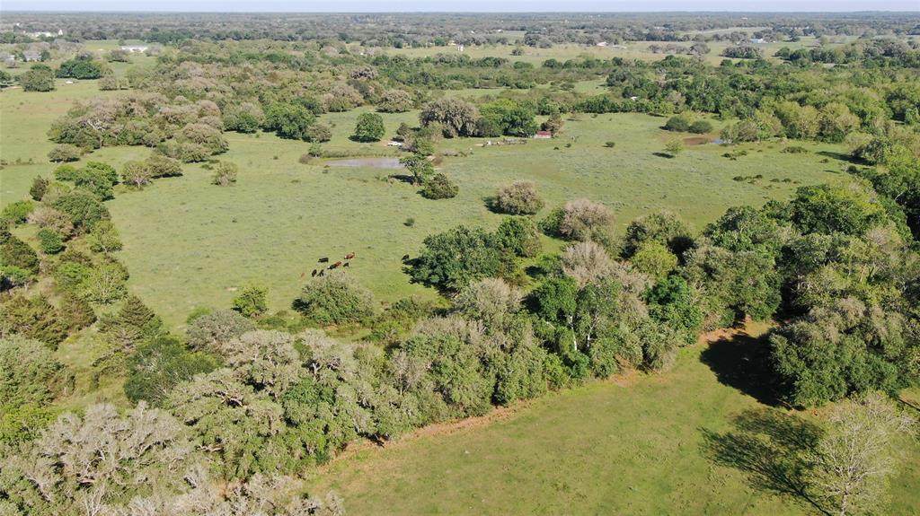 975 County Road 130 - Photo 1