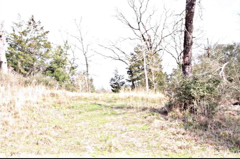 TBD County Rd 317 - Photo 1