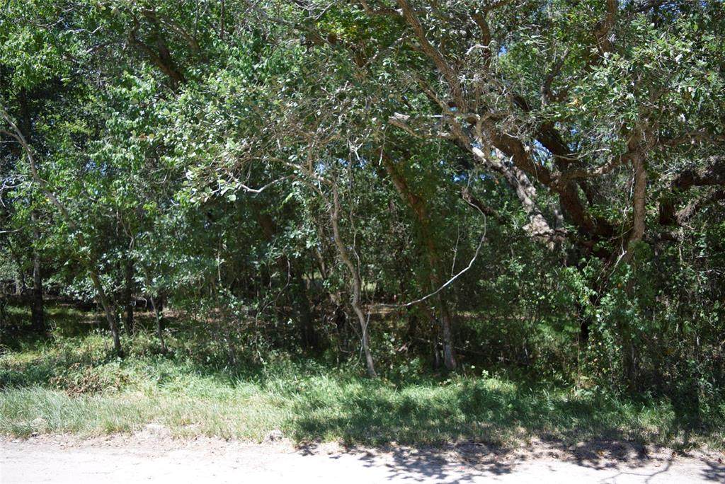 00 Lakeview Drive - Photo 1
