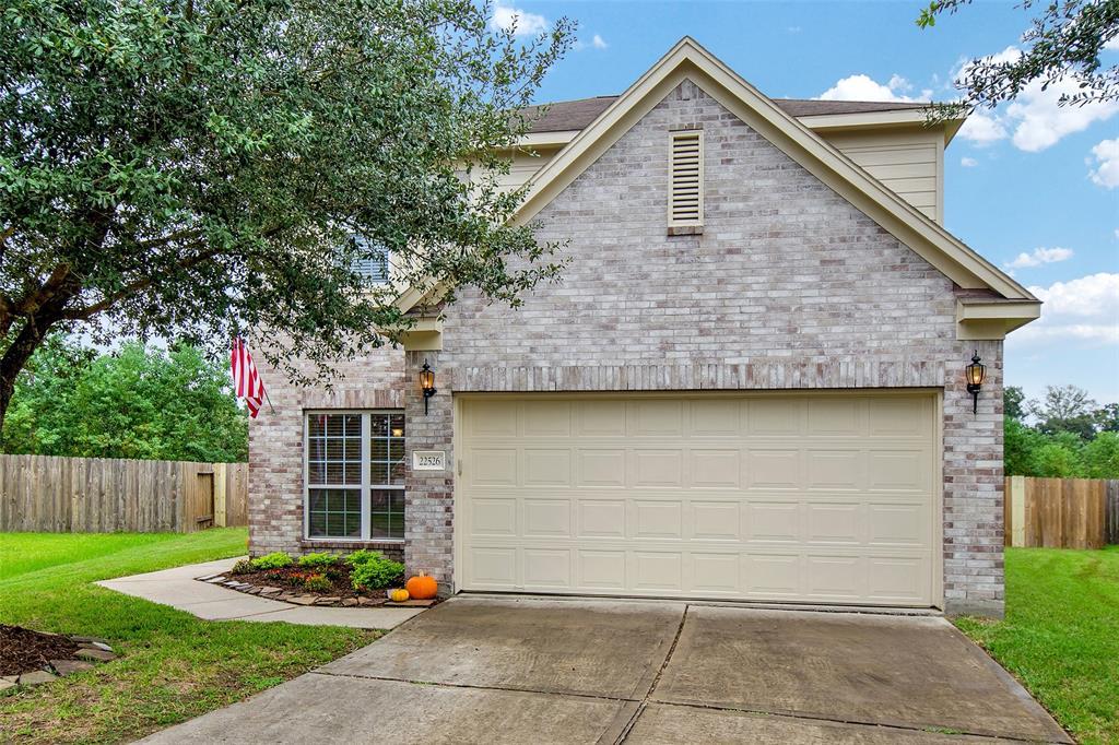 22526 Hamlet Park Court - Photo 1