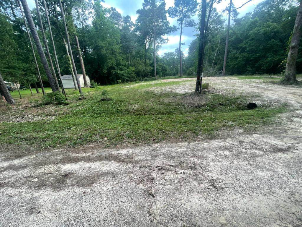 TBD Constantine Drive - Photo 1