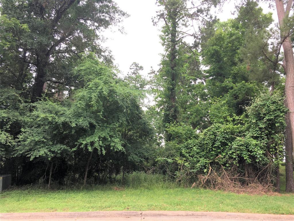 2806 Chaucer Drive - Photo 1