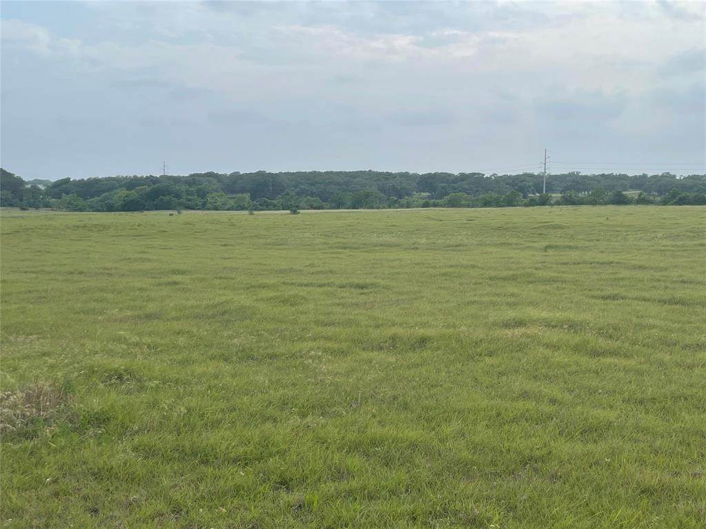 003 Wiedemann Rd - Photo 1