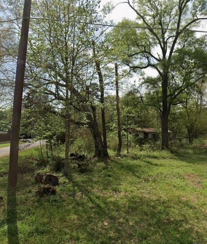 TBD Peach Creek - Photo 1