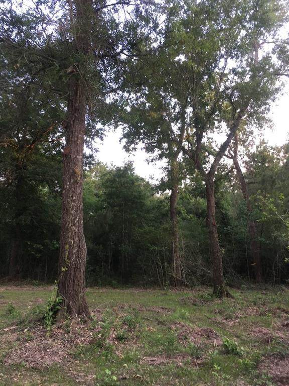 26170 Grand Pines Road - Photo 1