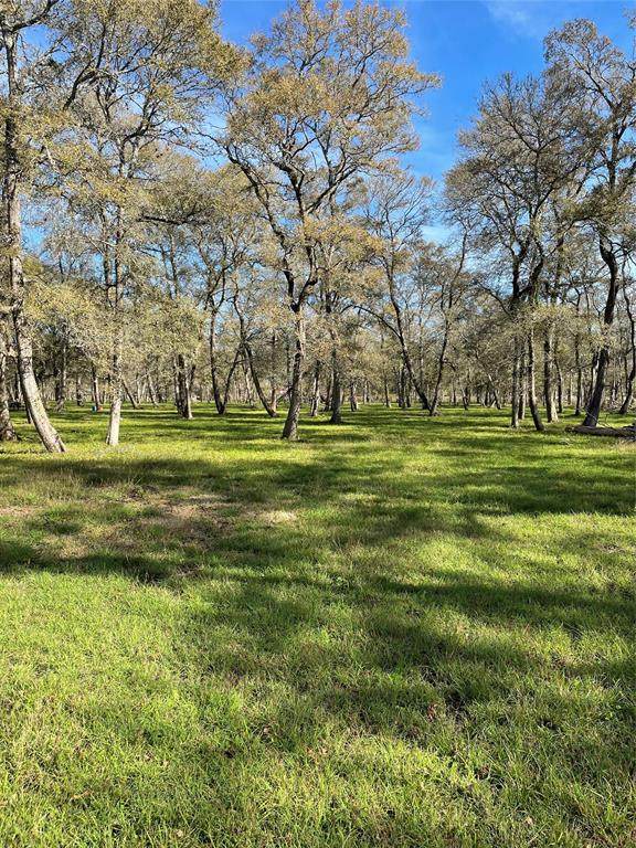 15425 Tierra Grande Drive - Photo 1