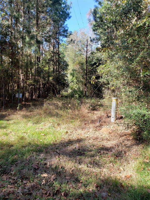 00 County Road 2097 Off - Photo 1