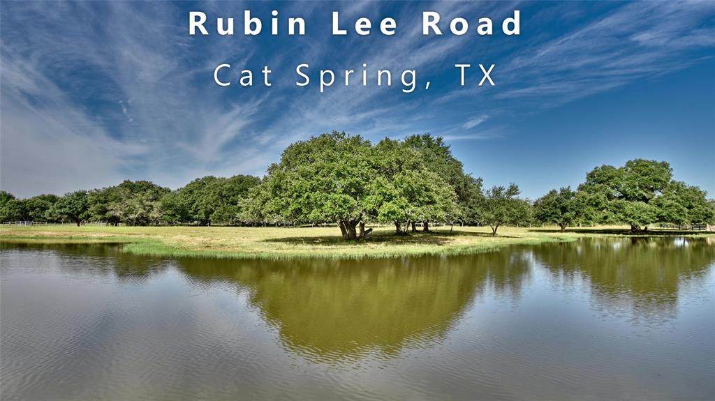 000 Rubin Lee Lane - Photo 1