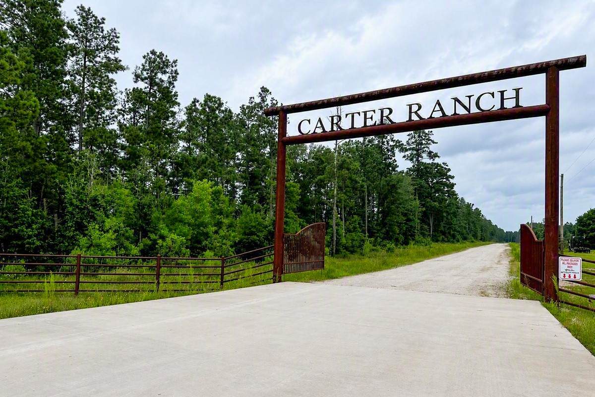 TBD Carter Ranch Road - Photo 1