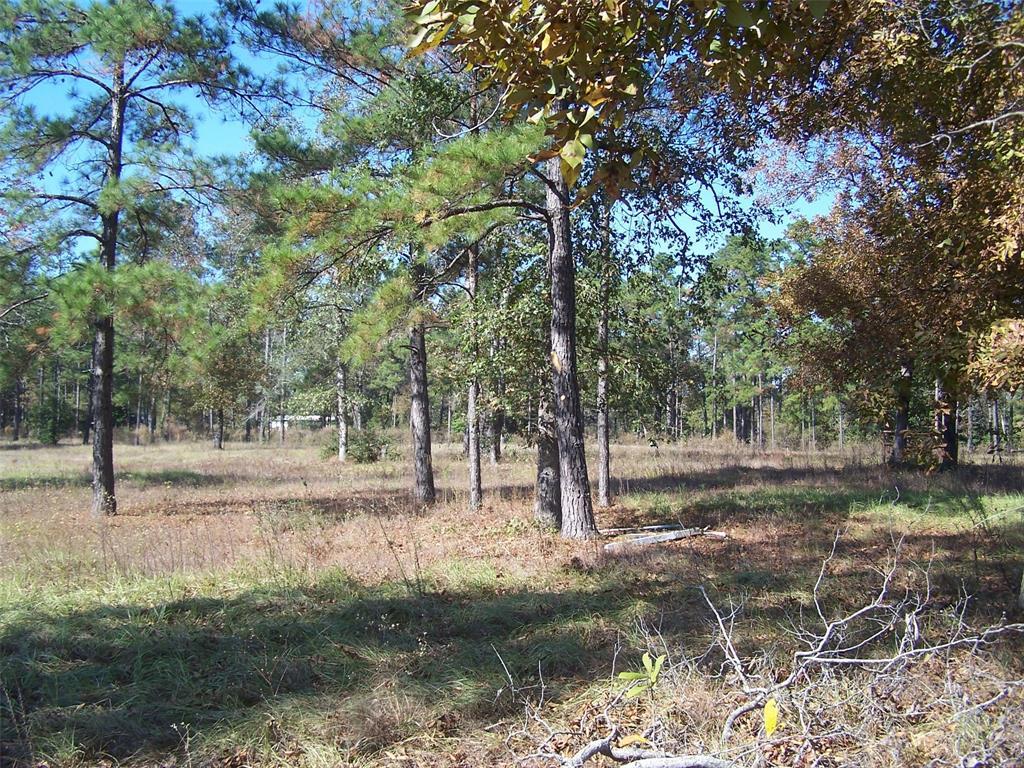 11178 Us Hwy 190 E - Photo 1