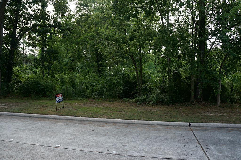 2911 Cedar Woods - Photo 1