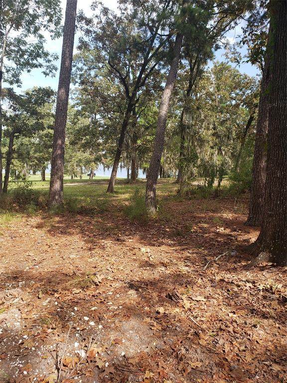 111 Sunset Drive - Photo 1