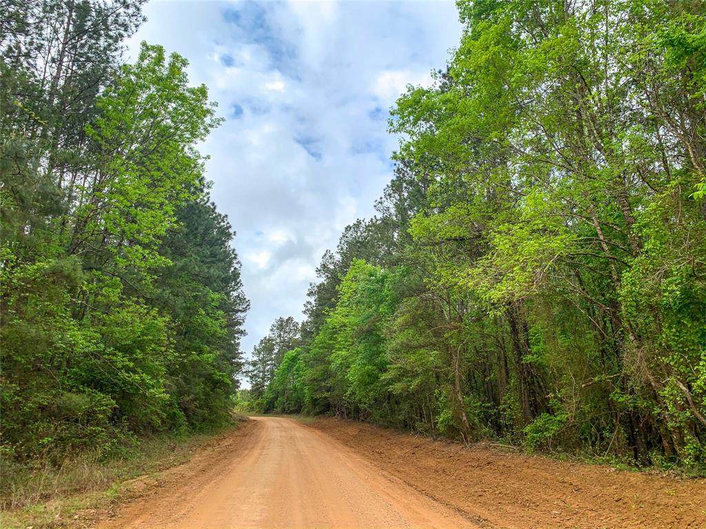 00000 Creel Rd - Photo 1