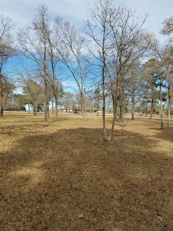 2000 Old River Road - Photo 1