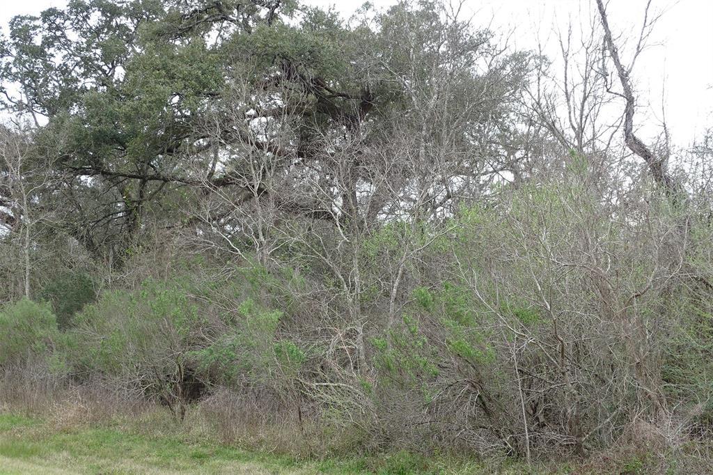 17214 Hamill Drive - Photo 1