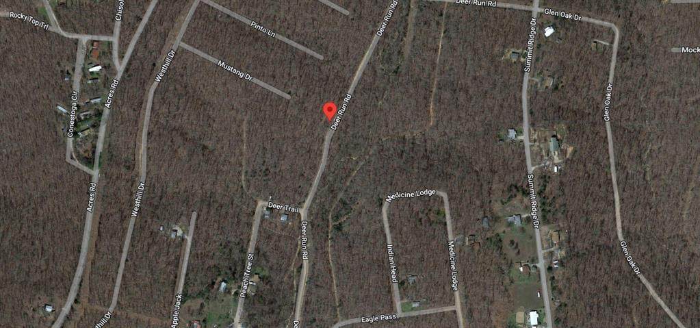 Lot 22 Deer Run Road - Photo 1