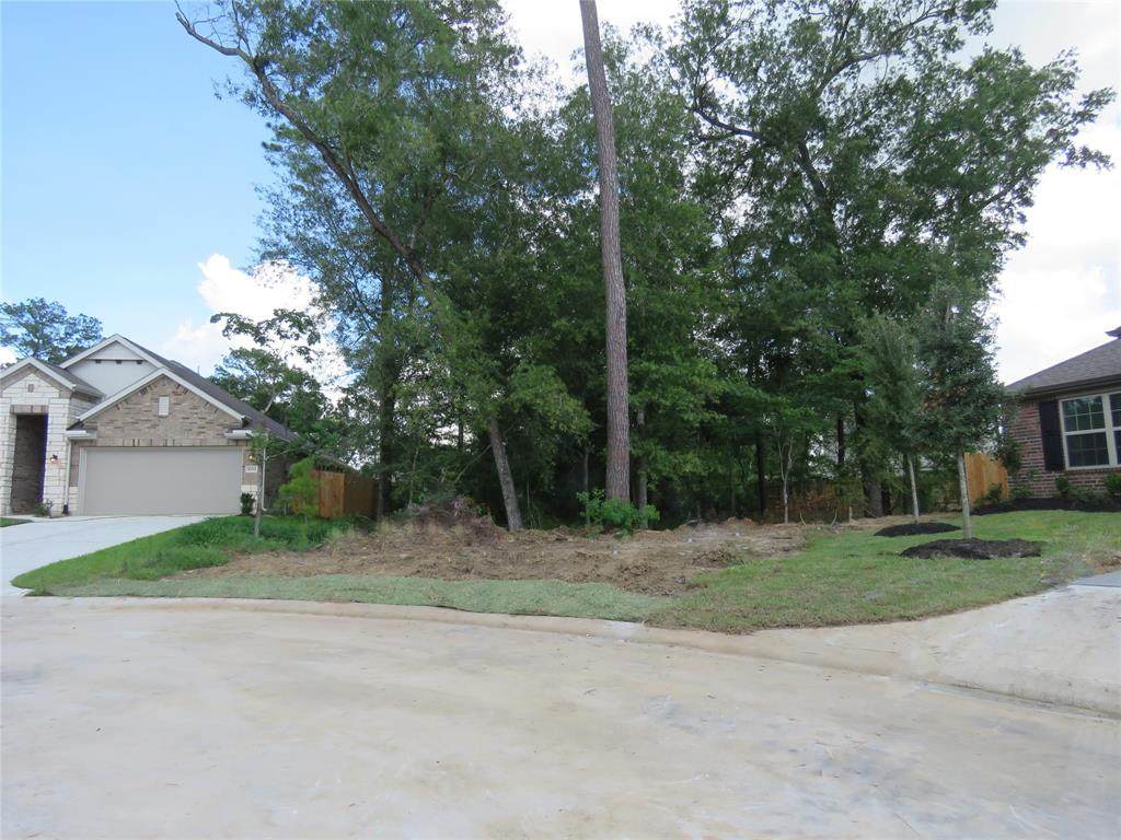 1003 Awning Court - Photo 1
