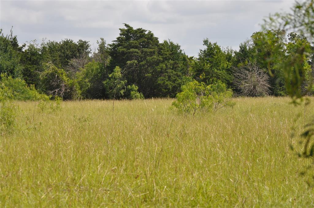 000 County Rd 305 - Photo 1