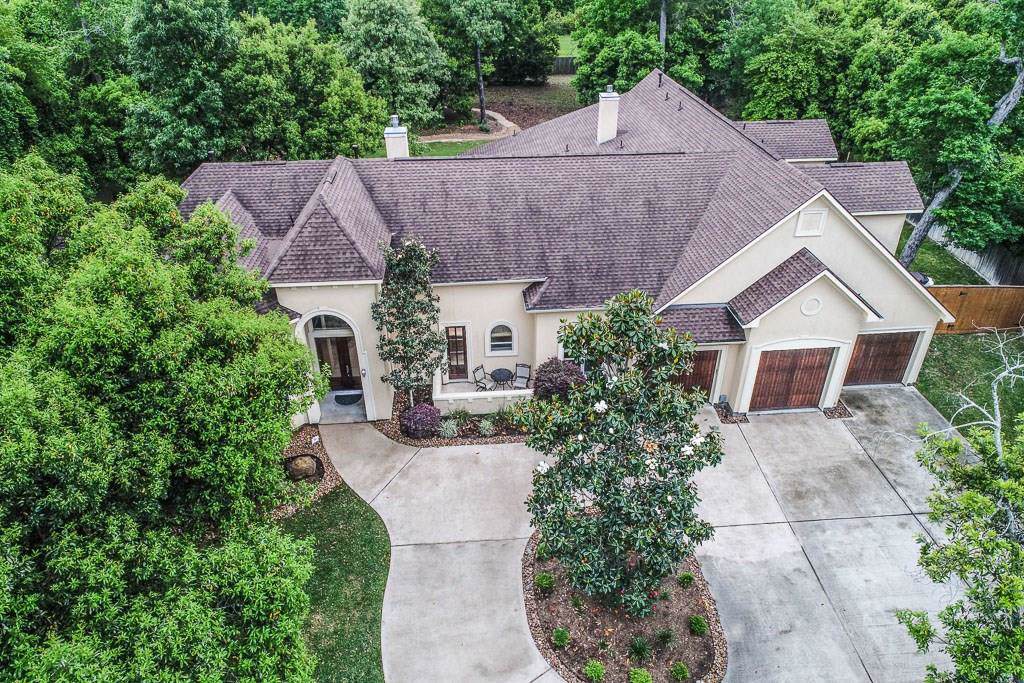 4310 Maple Rapids Ct - Photo 1