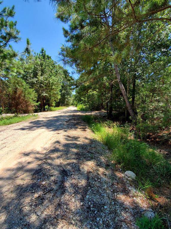 0 Squirrel Drive - Photo 1