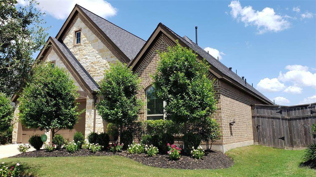 29006 Crystal Rose Lane - Photo 1