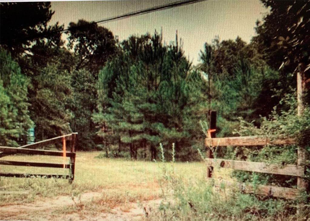 11054 Fm 1484 Road - Photo 1
