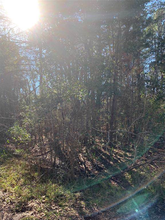 0 Crosby Huffman Road - Photo 1