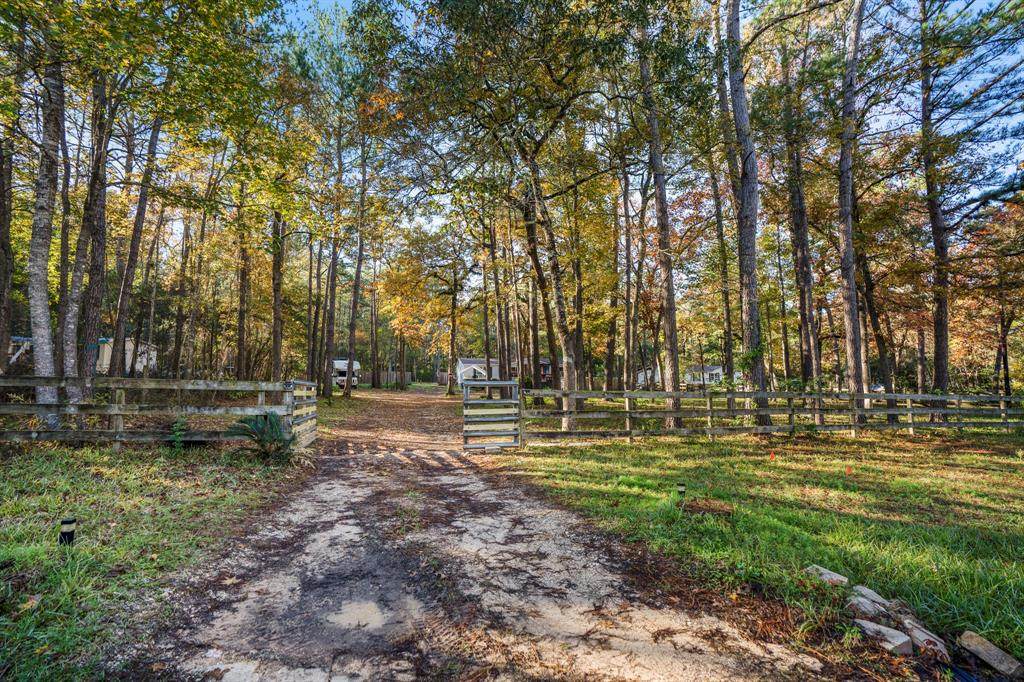 24783 Country Oaks Boulevard - Photo 1