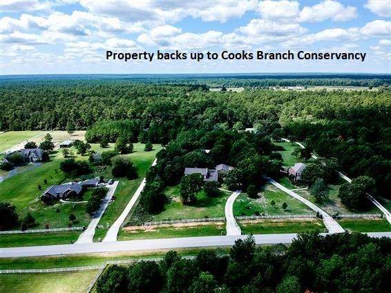 8736 Grand Lake Estates Drive - Photo 1