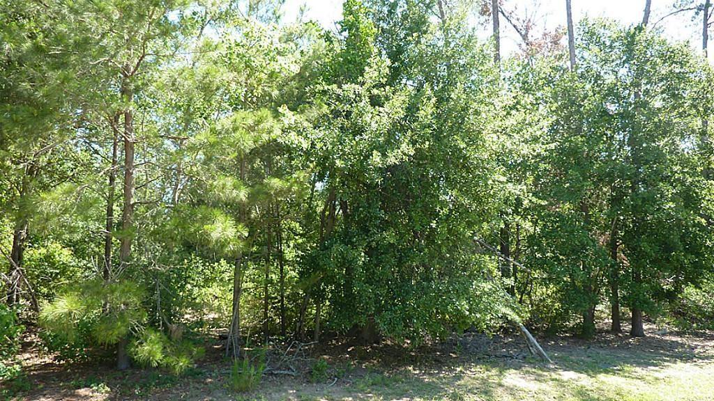 17420 Lakewood Glen Court - Photo 1