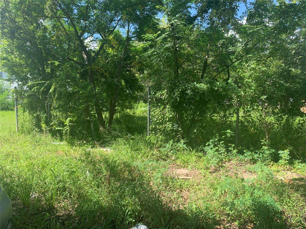 2502 Anita Street - Photo 1