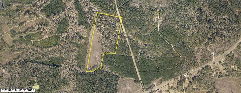 TBD Off Us Hwy 190 E - Photo 1