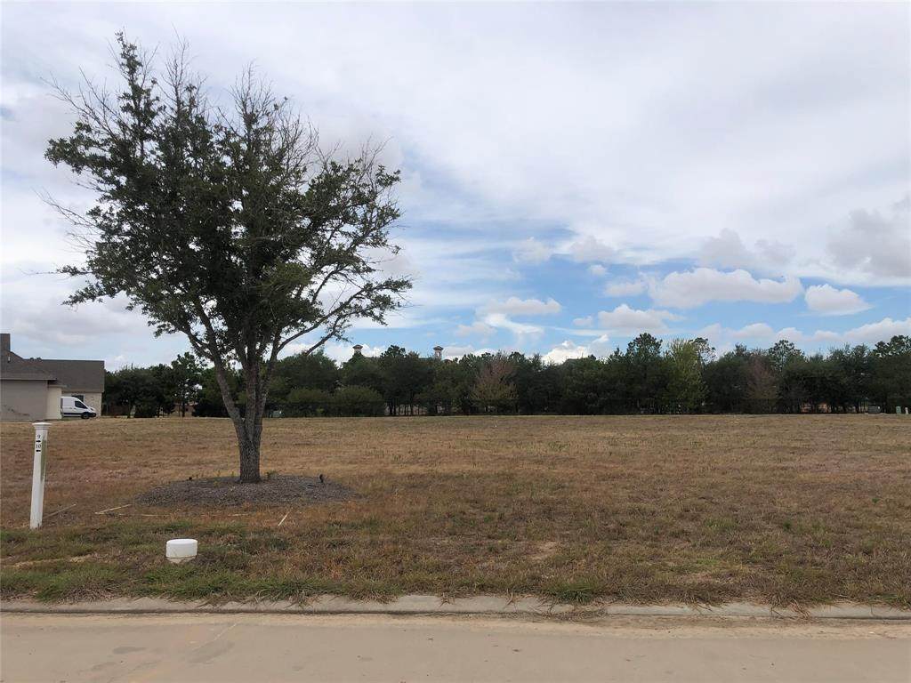 7306 Palmetto Springs Trail - Photo 1