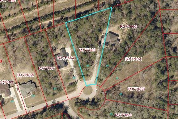27693 Concho Drive - Photo 1